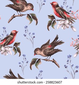 Vintage Floral Seamless Background with Birds, Vector watercolor Illustration