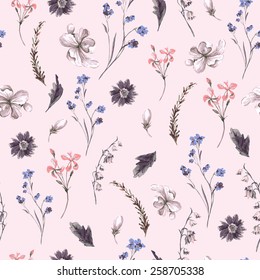 Vintage Floral Seamless Background with Wildflowers, Vector watercolor Illustration