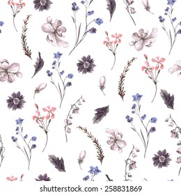 Vintage Floral Seamless Background with Wildflowers, Vector watercolor Illustration