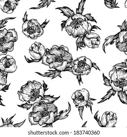 vintage floral seamless pattern, hand drawn vector illustration