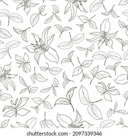Vintage Floral seamless Pattern in Hand drawn style