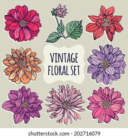 Vintage floral set. Dahlias.