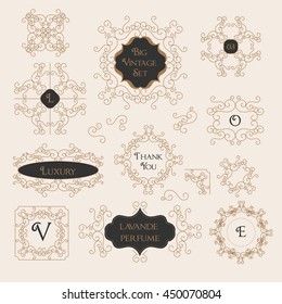 Vintage Floral Set Monogram Elements, Invitation Designs, Frame Template, Menu Layout, Retro Wedding Labels, Gift Certificate, Graphic Elements for Catalogs, Cafes Brochure, Boutique Emblem