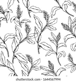 Vintage floral vector seamless pattern. Ink sketches of tropical Ginger flowers. Hand drawn exotic plants background. Monochrome botanical wallpaper for textile, paper, prints, wrapping, fabric, card