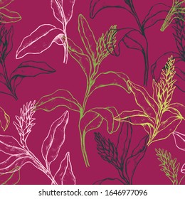 Vintage floral vector seamless pattern. Sketches of tropical Ginger flowers. Hand drawn exotic plants background. Colored bright botanical wallpaper for textile, paper, prints, wrapping, fabric, card