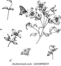Vintage Floral vector seamless pattern flowers Clematis and butterfly, black white. Hand drawn background for design wedding, packaging, textile, wrapping paper, wallpaper, Fashion apparel. Monochrome