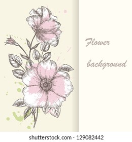 Vintage flower background. Beautiful invitation card with dogrose