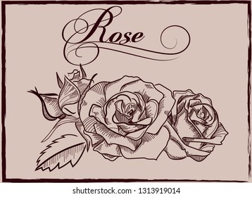 Vintage flower background. Beautiful invitation card with rose 