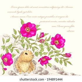 Vintage flower background. Beautiful invitation card with dog rose and gopher