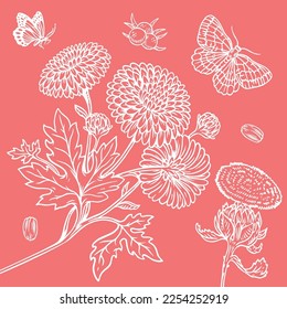 Vintage Flower and Butterfly Line Art Vector Design