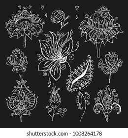 Vintage flower design elements. Black curly branches shapes isolated on white background. Vector illustration.