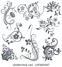 Elementos de diseño de flores de época. Las ramas negras del rizo se aíslan sobre fondo blanco. Ilustración vectorial.