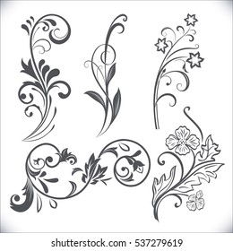 Vintage flower design elements. Black curly branches shapes isolated on white background. Vector illustration.