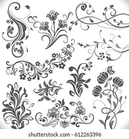 Vintage flower design elements. Black curly branches shapes isolated on white background. Vector illustration.