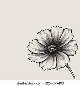 vintage flower hand drawn drawing. monochrome flower vector design. black and white drawing