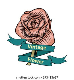 Vintage flower of pink rose. Vector illustration