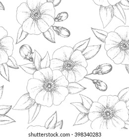 Vintage flower seamless pattern with dog rose. Hand drawn. Background illustration. Sketch.