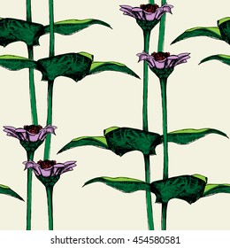 Vintage Flower seamless pattern.Vector illustration of Zinnia.