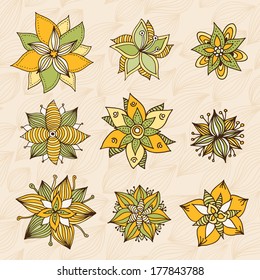 Vintage flower set in vector