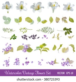 Vintage Flower Set - Watercolor Style - in vector