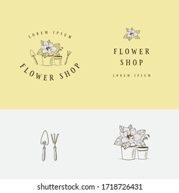 Vintage flower shop logo design with magnolia