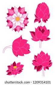 vintage flower,lotus, vector
