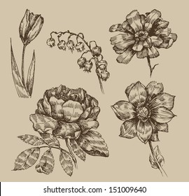 Vintage flowers