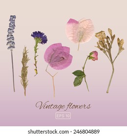 Vintage flowers