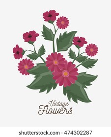 vintage flowers decoration icon vector illustration icon