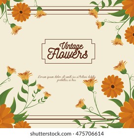 vintage flowers frame decoration vector illustration design