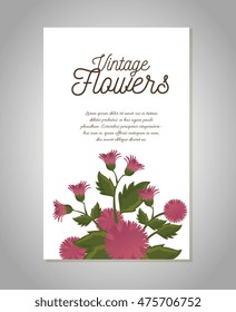 vintage flowers frame decoration vector illustration design