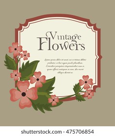 vintage flowers frame decoration vector illustration design