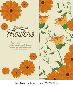 vintage flowers frame decoration vector illustration design