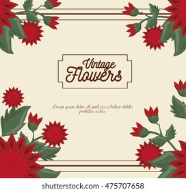 vintage flowers frame decoration vector illustration design