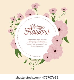 vintage flowers frame decoration vector illustration design