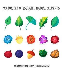 Vintage flowers, fruits and leaves icons collection. Vector
