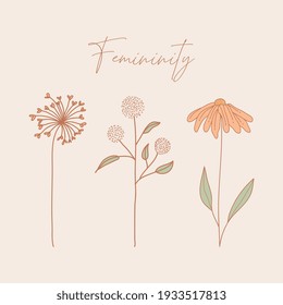 vintage flowers hand drawn. femininity. vector illustration