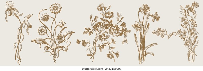 Vintage Flowers and Plants. Hand Engraved Retro Botanical Line Artwork. Botanical Herbs Collection. Vector Set of Hand Drawn Summer Florals, Herbs, Weeds and Meadows. Vintage plants illustration.