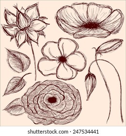 vintage flowers set