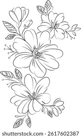 Vintage flowers set in retro style for design, Flowers vector illustration. Doodle style. Design, print, decor, textile, paper, card, colouring the flowers.