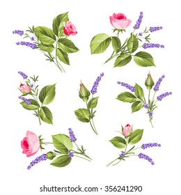 Vintage flowers set. Wedding flowers bundle. Flower collection of watercolor detailed hand drawn roses. Collection of roses and lavender flowers on a white background. Vector illustration bundle.