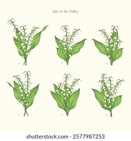 Vintage Flowers and Twigs: Lily of the Valley Botanical Vector Illustration Set