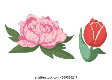 Vintage flowers vector illustration.