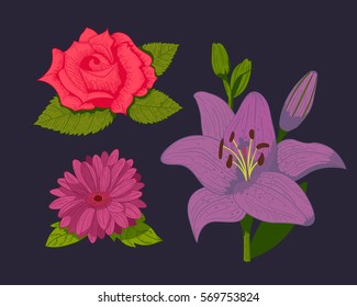 Vintage flowers vector illustration.