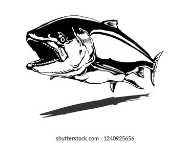 vintage fly fish,drawing animal,vector