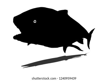 vintage fly fish,drawing animal,vector