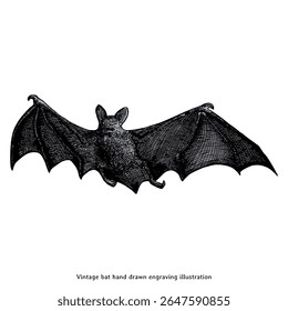 Vintage Flying Bat Illustration - Hand Drawn Engraving Style