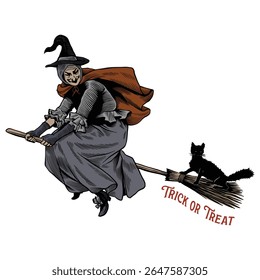 Vintage Flying Witch with Black Cat on Broomstick - Halloween Hand Drawn Engraving Illustration