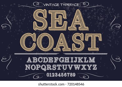 vintage font alphabet handcrafted vector named sea coast