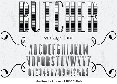 Vintage Font handcrafted vector script alphabet,design handwritten named butcher